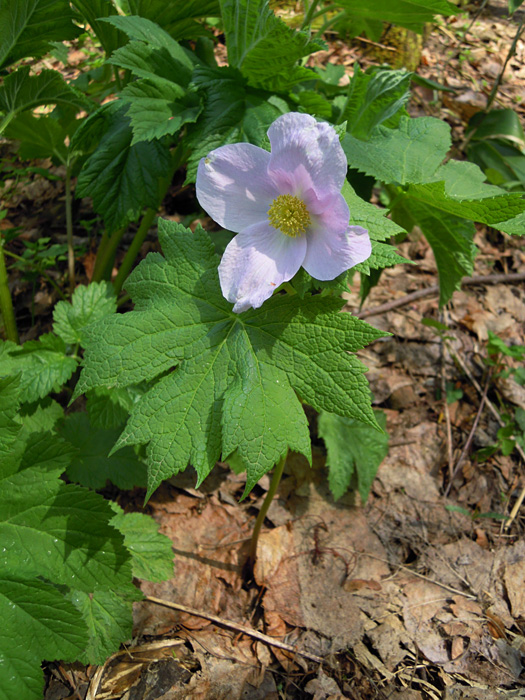 120502-14.jpg