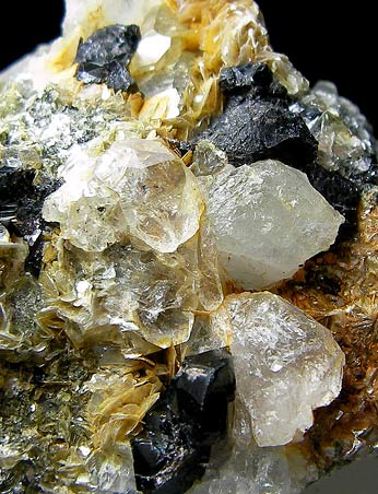 No.623 Beryl