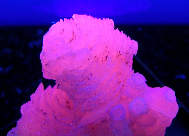 No.615 Calcite