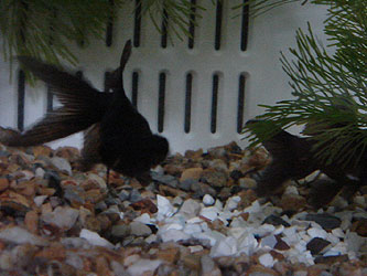 201203173.jpg