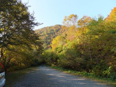 赤埴林道