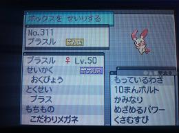 パーティーgメンバー ５世代びいきのポケモンよもやま話