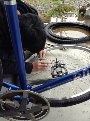image_1 (2)