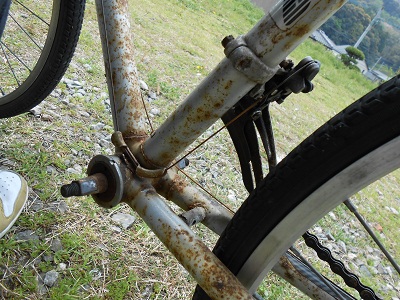 DSCN0248.jpg
