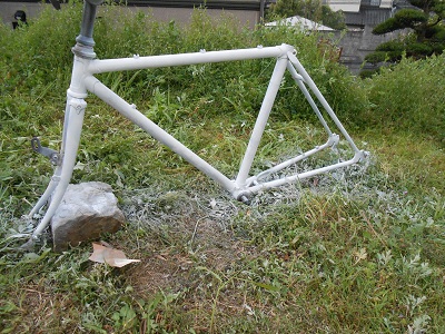DSCN0294.jpg