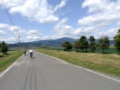 s_290059931870.jpg