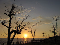 fenche-sunset.jpg