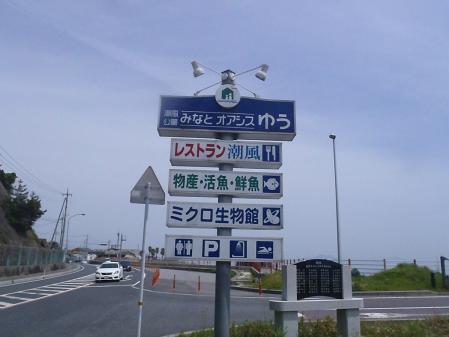 P4290043.jpg