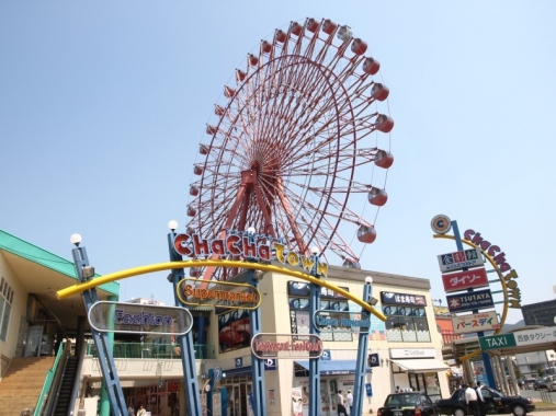 o0800060012499470020.jpg