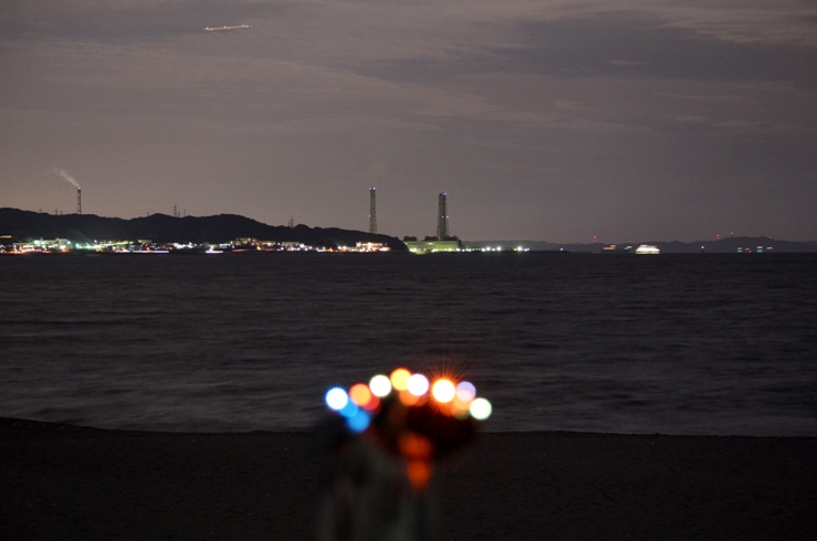 DSC_8590.jpg