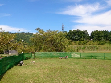 g140921_01.jpg