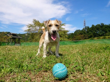 g140921_02.jpg