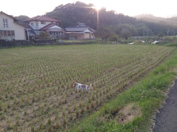 g140928_01.jpg