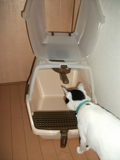 DSCF1972.jpg