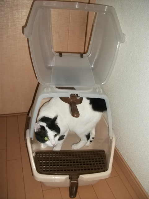 DSCF1973.jpg