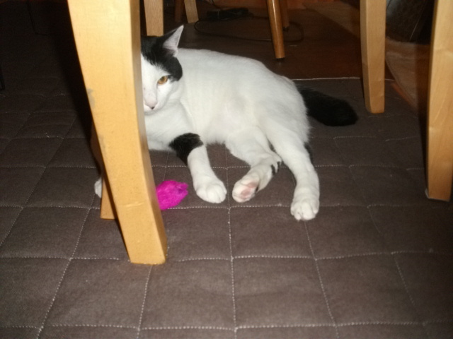 DSCF1989.jpg