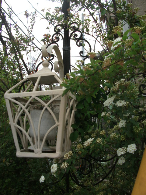 DSCF2002.jpg