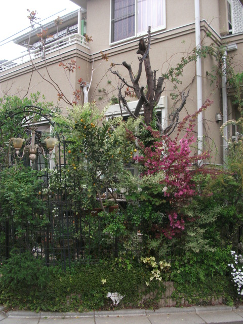 DSCF2020.jpg