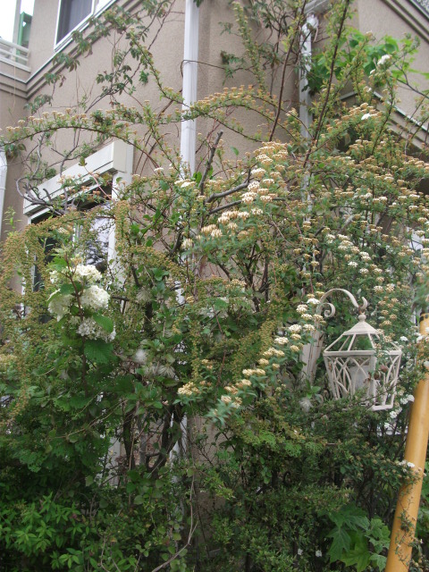 DSCF2022.jpg