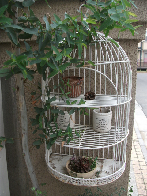 DSCF2026.jpg