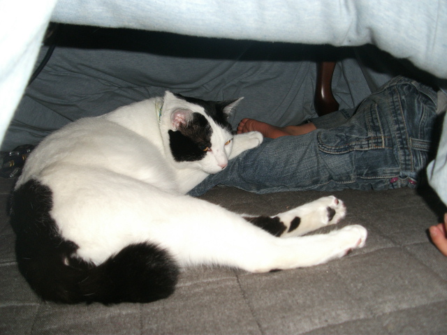 DSCF2041.jpg