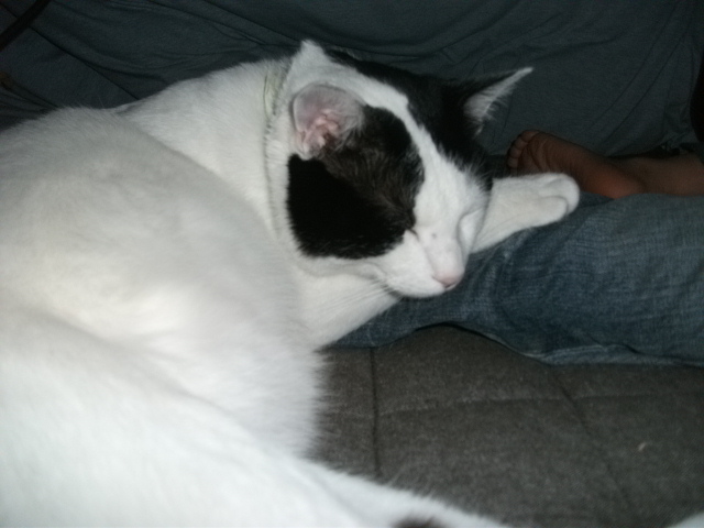 DSCF2042.jpg