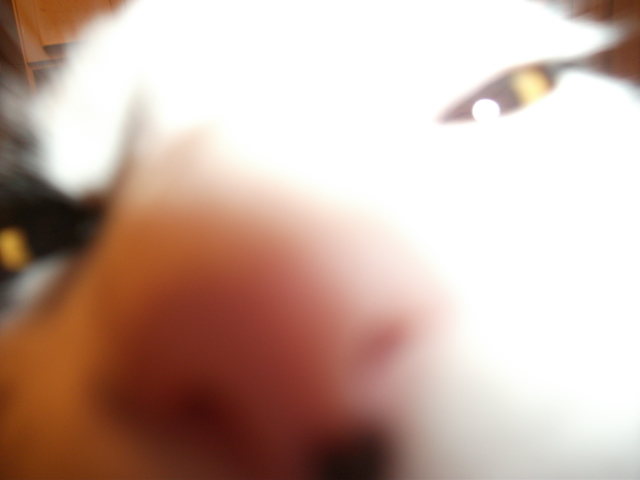 DSCF2065.jpg