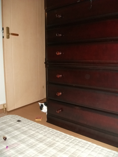 DSCF2069.jpg