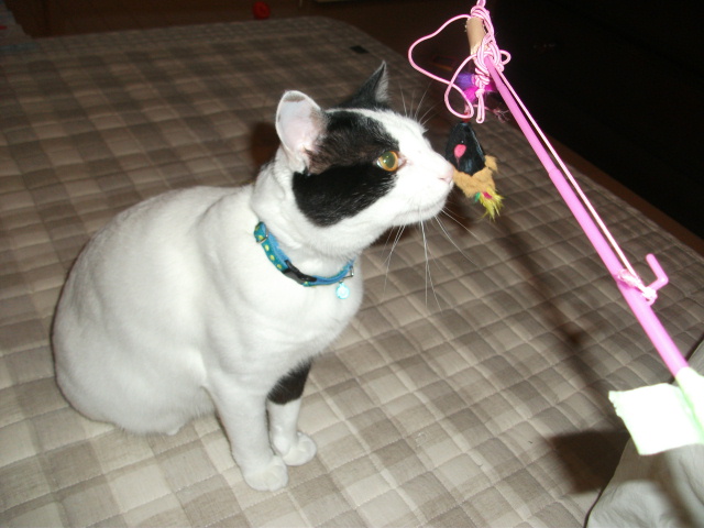 DSCF2077.jpg