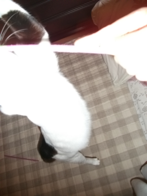 DSCF2096.jpg
