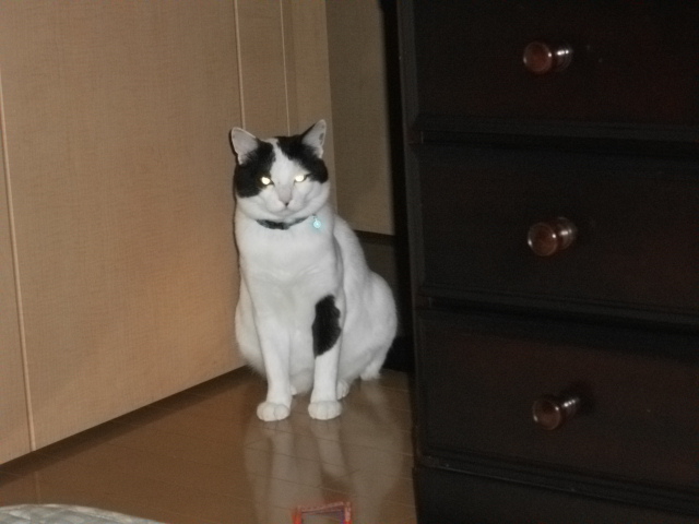 DSCF2097.jpg