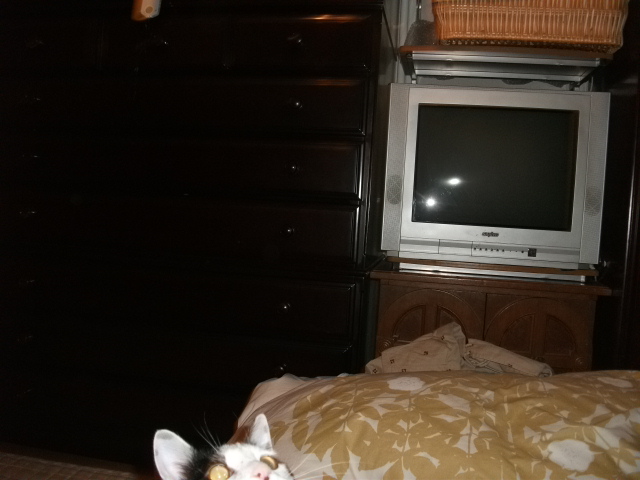 DSCF2099.jpg