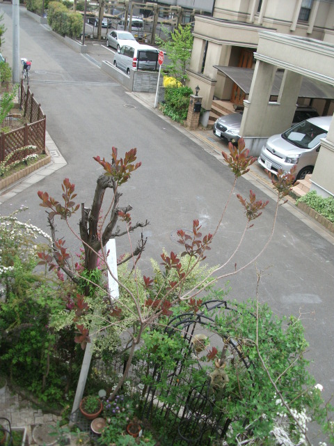 DSCF2103.jpg