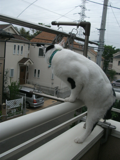 DSCF2104.jpg