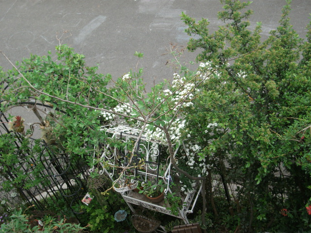 DSCF2105.jpg
