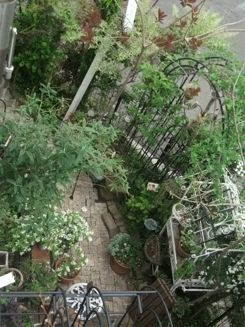 DSCF2106.jpg