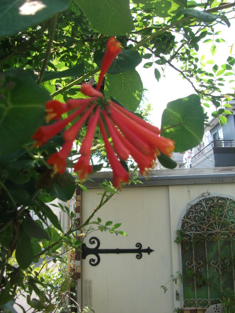 DSCF2165.jpg
