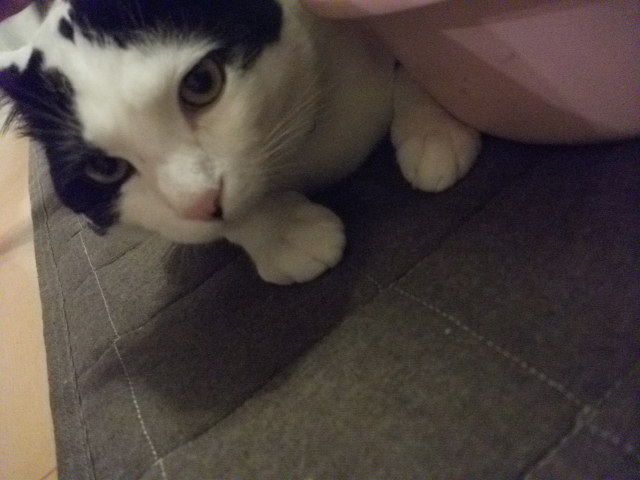 DSCF2191.jpg