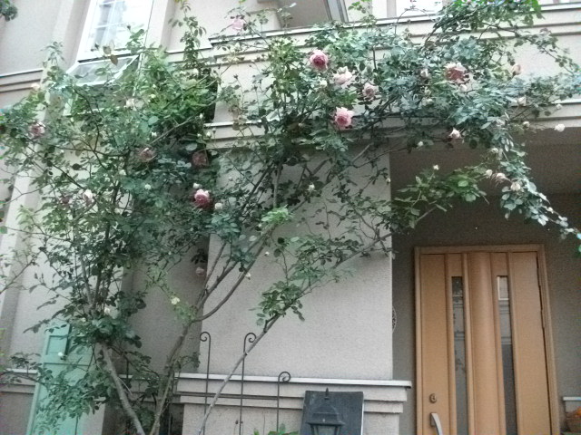 DSCF2334.jpg