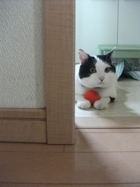 DSCF2342.jpg