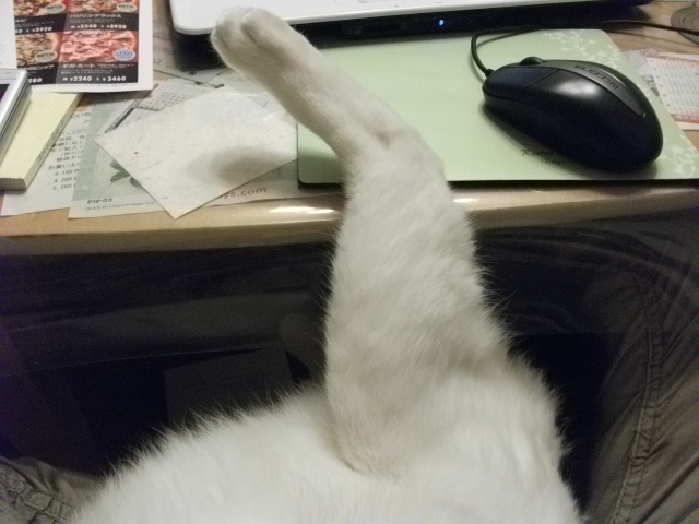 DSCF2396.jpg