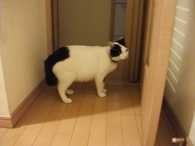 DSCF2397.jpg