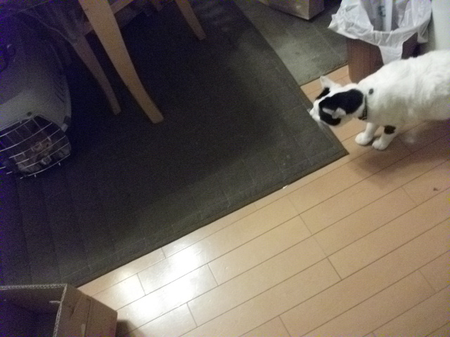 DSCF2401.jpg