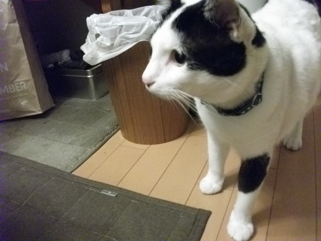 DSCF2403.jpg