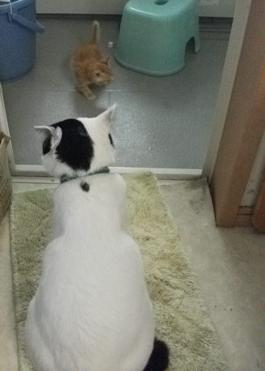 DSCF2418.jpg