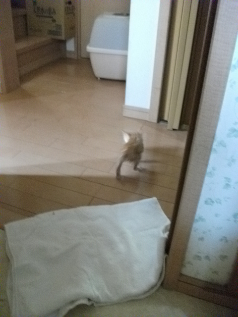 DSCF2425.jpg