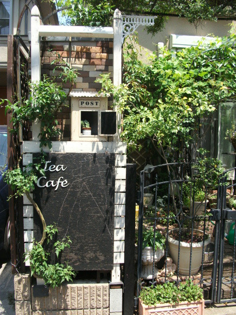 DSCF2432.jpg