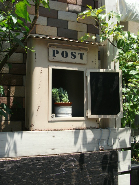 DSCF2433.jpg