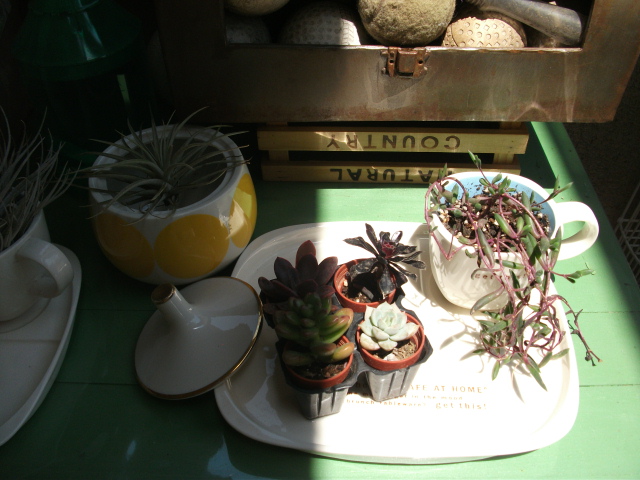 DSCF2453.jpg