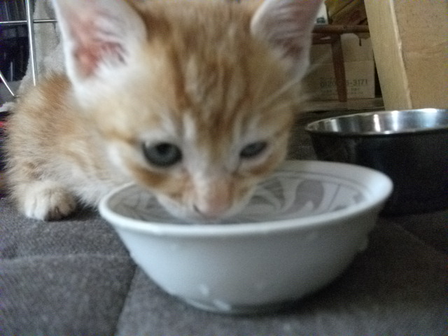 DSCF2459.jpg